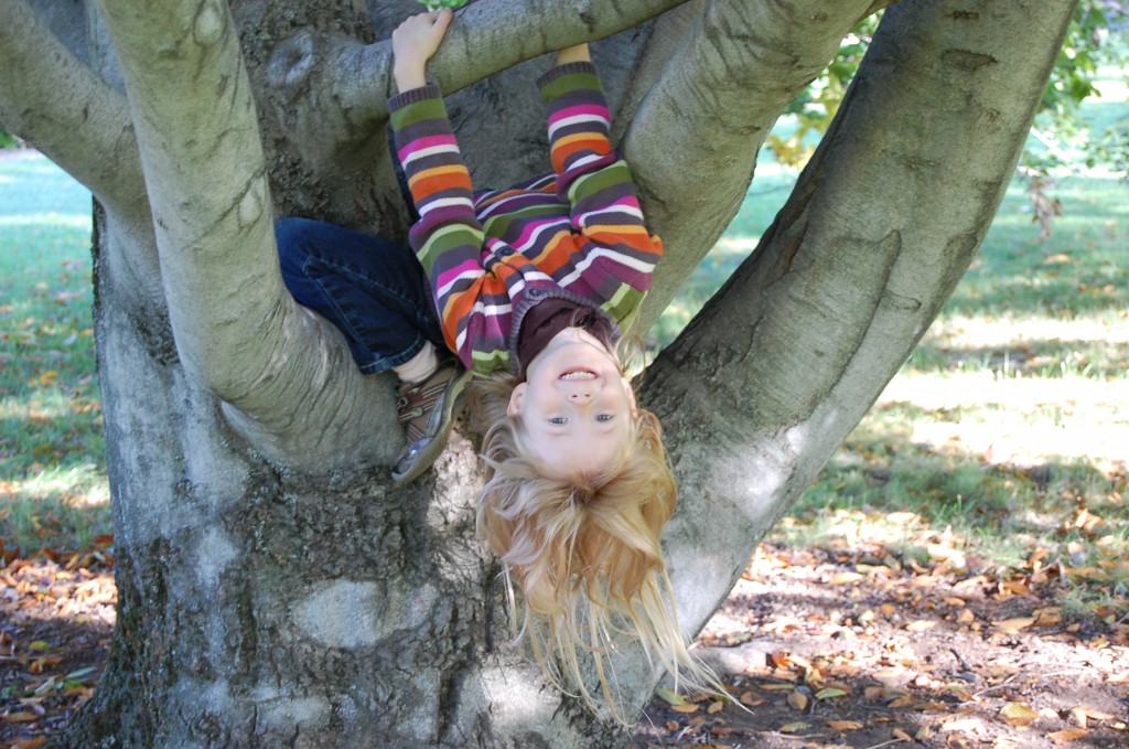 climbing-trees