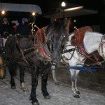 horsecarriage