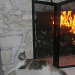 catfireplacelong