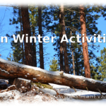 fun-winter-activities