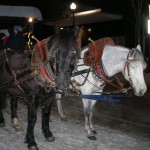 horsecarriagesquare