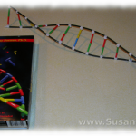 extracting-dna-6