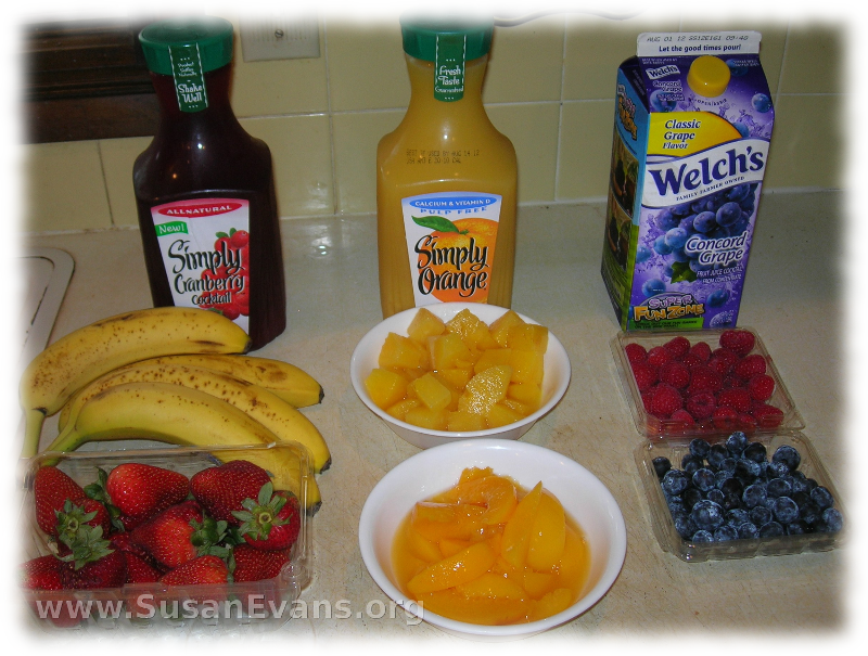 Paradise Fruit Drinks for Kids « Susan's Homeschool Blog
