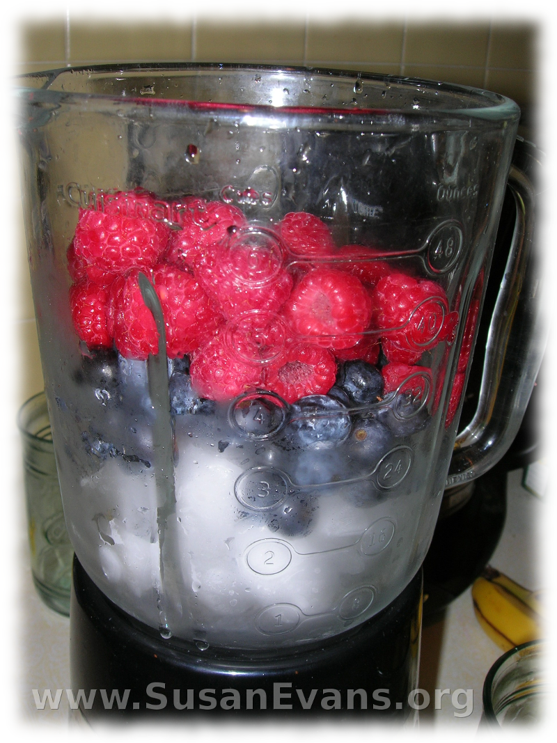 Paradise Fruit Drinks for Kids « Susan's Homeschool Blog