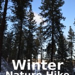 winter-nature-hike