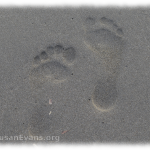 footprints