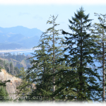 view-of-cannon-beach