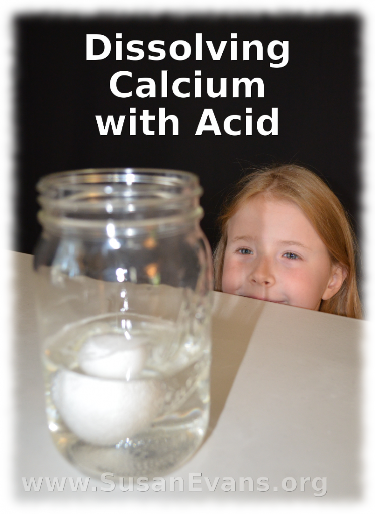  10 dissolving calcium with acid susan s homeschool blog