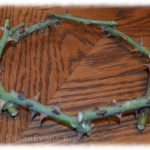 crown-of-thorns