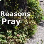 101-Reasons-to-Pray