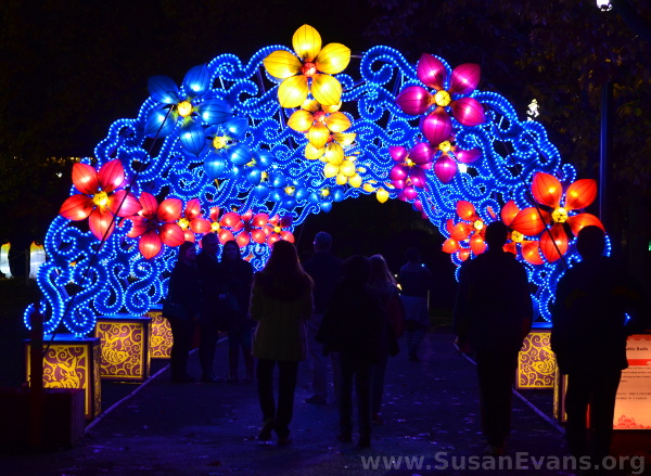 flower-lantern-canopy