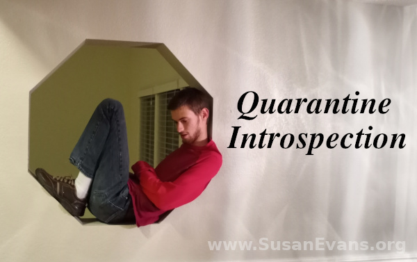 quarantine-introspection