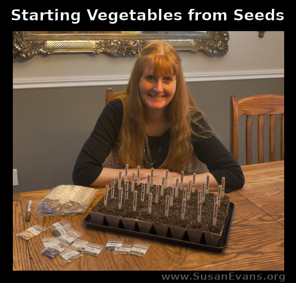 starting-vegetables-from-seeds
