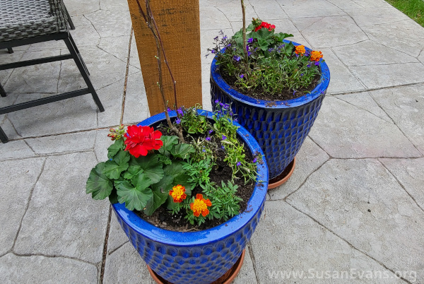 blue-flower-pots